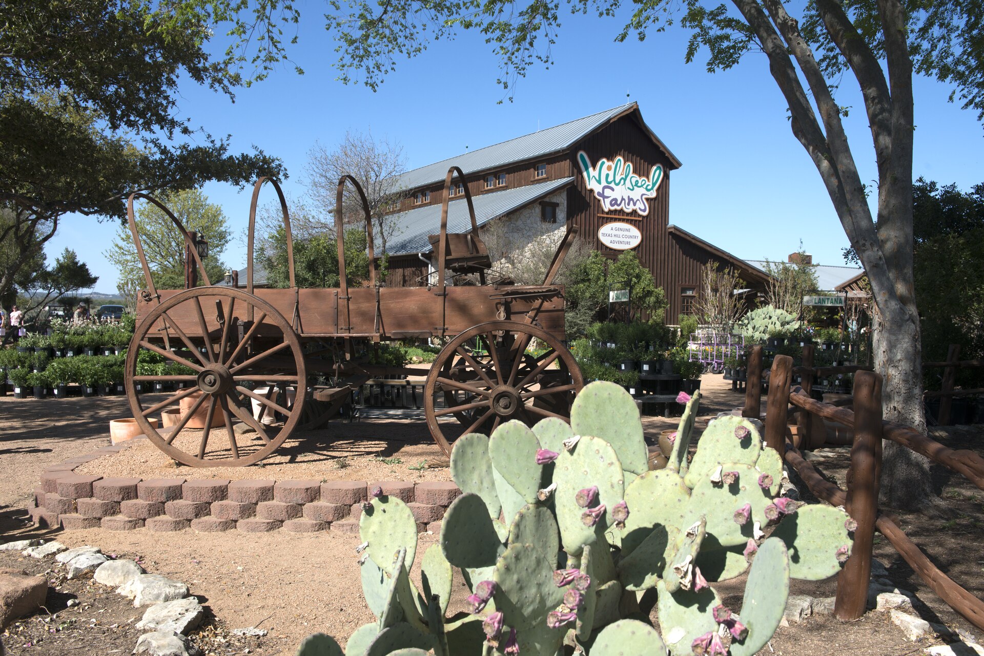 A wooden wagon and barn at Wildseed Farms wildflower farm on US-290 near Fredericksburg, Texas