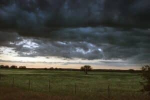 Storm clouds gathering at dusk over an open field and lone tree in rural Gillespie County, Texas