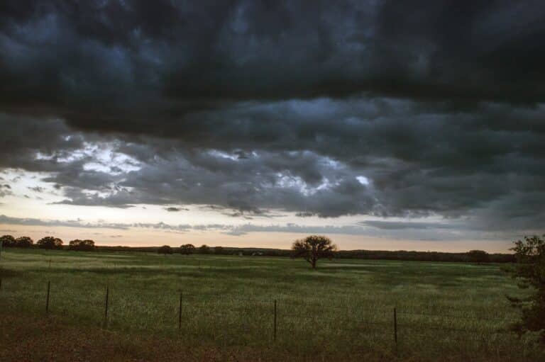 Storm clouds gathering at dusk over an open field and lone tree in rural Gillespie County, Texas