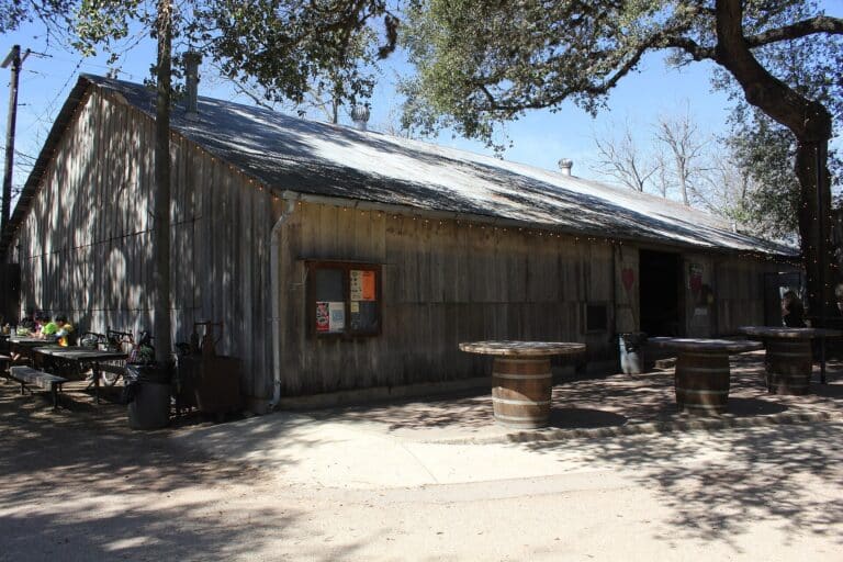 The weathered timber Luckenbach dance hall with wine-barrel tables and string lights under live oak trees